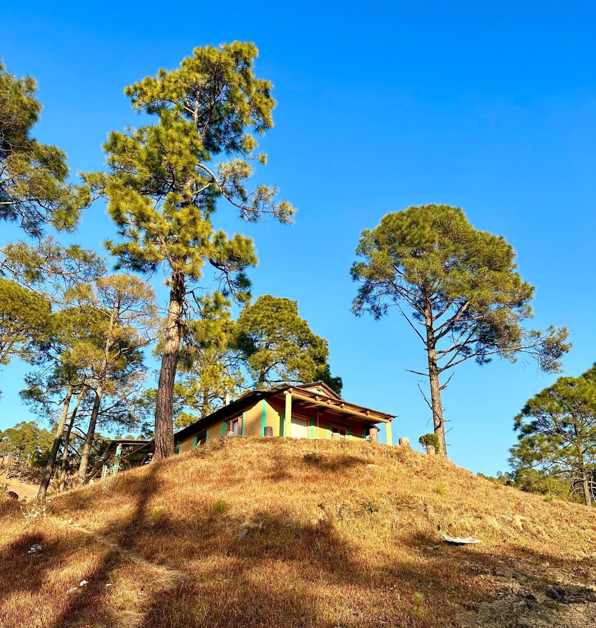 Joshi Cottage בינסר מראה חיצוני תמונה