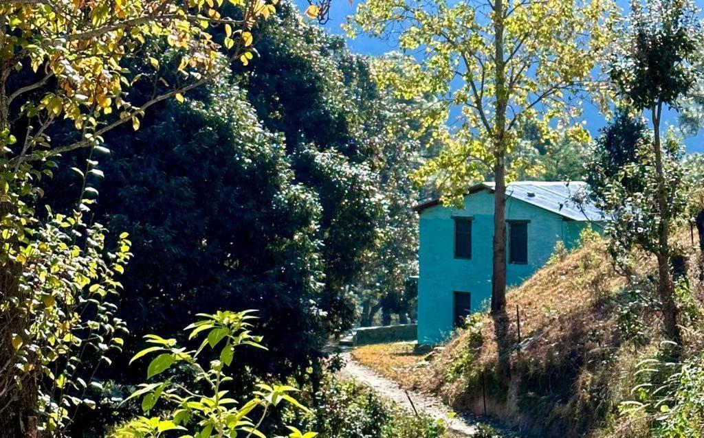 Joshi Cottage בינסר מראה חיצוני תמונה